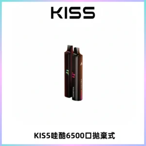 KIS5WAGOO哇酷6500口拋棄式 | 自由混搭雙口味 | 雙芯組合