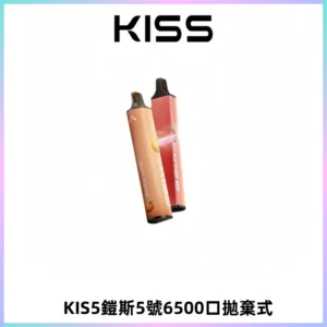 KIS5鎧斯5號一次性6500口磁吸式拋棄式電子煙#自由混搭#